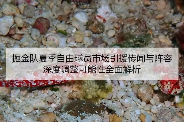 jue-jin-dui-xia-ji-zi-you-qiu-yuan-shi-chang-yin-yuan-chuan-wen-yu-zhen-rong-shen-du-tiao-zheng-ke-neng-xing-quan-mian-2-409.jpg