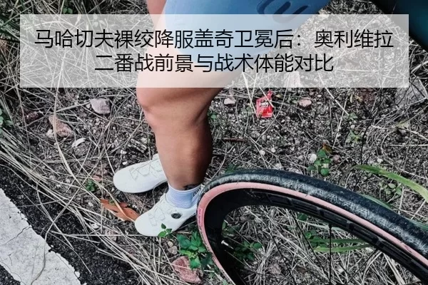 马哈切夫裸绞降服盖奇卫冕后：奥利维拉二番战前景与战术体能对比